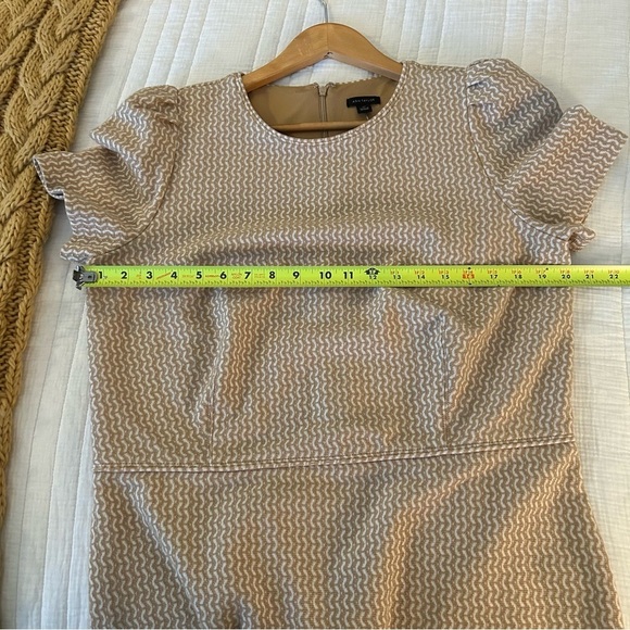 Ann Taylor Geo Flare Dress Whiskey Cream. Size 14T. - Picture 11 of 14